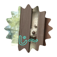 ayumi_20250917231047