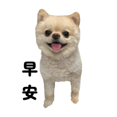 小田大人