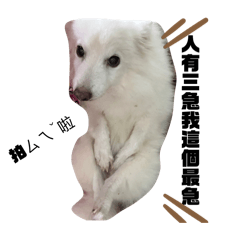 家庭奮鬥
