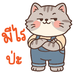 แมวอ้วนเทา จอมวีน