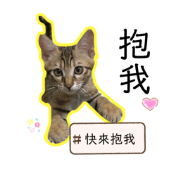 3劍客 漿天板❤️