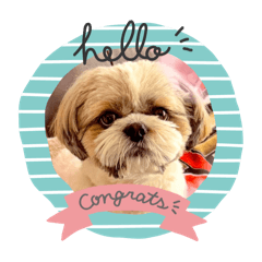 マッシュ♡ルーク