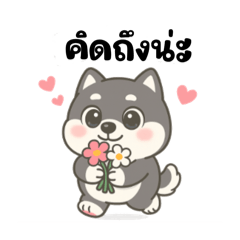 ข้าวสุกหมาไซบีเรีย (คำพูดสุภาพ)