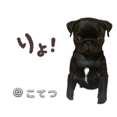 karina_20250916220740