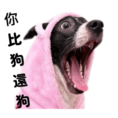 妹仔與他的夥伴