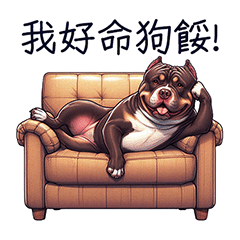 好惡霸-日常白目篇