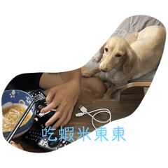 點點-2