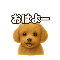 トイプードルのコトバ