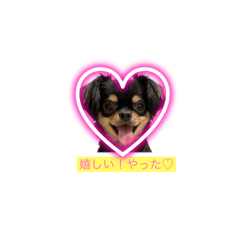 chloe_20250918000706