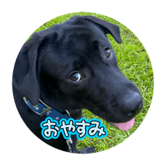 matilda_20250918001647