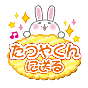 Rabbit conversation to send to tatsuya