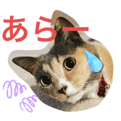 Junko_20250916233619