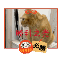 就是要當主角