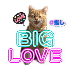 SERINA_20250918123742