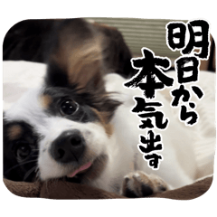 MIKAN_20250918103444