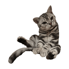 Hikari_20250918132044