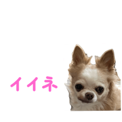 Satoshi_20250918132646