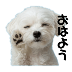 yamada_20250918141019