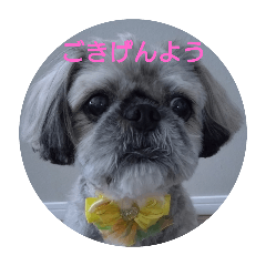 walnut_20250918144839