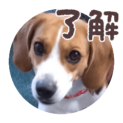 natsu_20250918150326