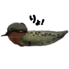 Neochan!ranchanosakana