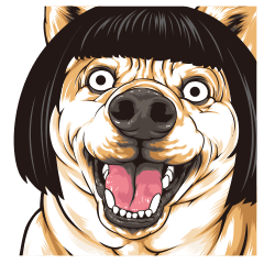 Bobbappa shibainu !