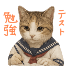 shiho_20250918140231