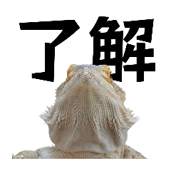 Kazuki_20250917202112