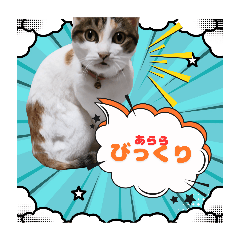 charm_20250918223906