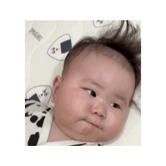 Shiho_20250918141652