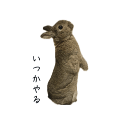 nanako_20250918194814