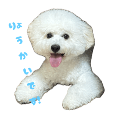 hinataeoxo_20250918181836