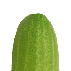 おちゃめでウネウネなキュウリ