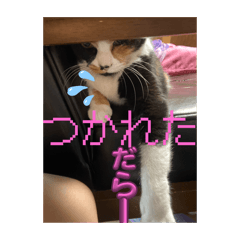 suzu_20250918233658