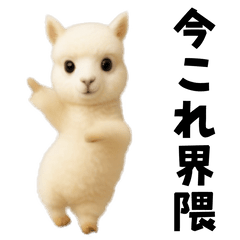 Dance alpaca