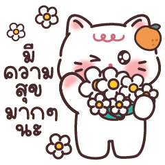 แมวส้ม แชทปังๆ