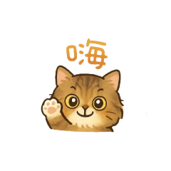 JUNE_Q毛孩日常文字