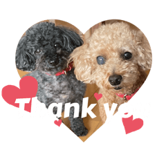 nanako_20250918173601