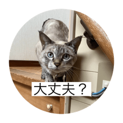 Yun_20250918201750