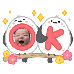 maimai_20250918154710