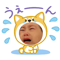 akari_20250918170215