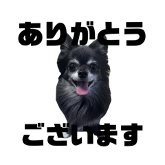 M_20250918133353