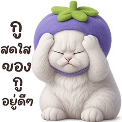 ❤️แมวขาว หัวมังคุด❤️