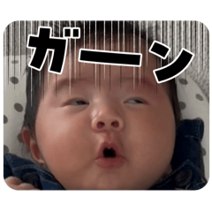 rei_20250918204751