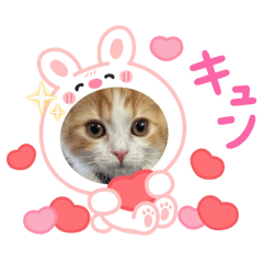 Motin_20250918212324