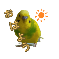 emi_20250919070225