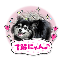 michan_20250918172701