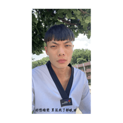 小陳趴兔