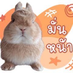 Bunny In Richessland V.2