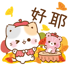 秋天＊超萬用＊萌小貓